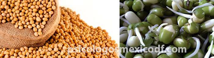 soya alimento para el tratamiento de la menopausia