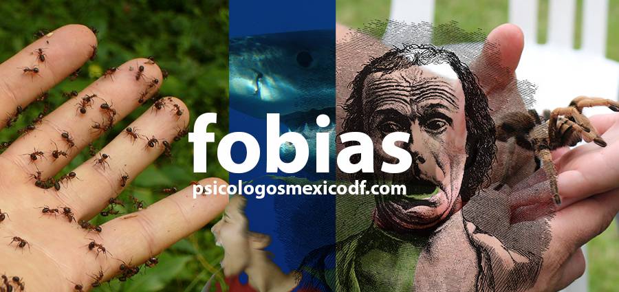 agorafobia, fobia social y otros tipos de fobias